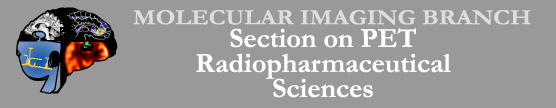 MOLECULAR IMAGING BRANCH BANNER