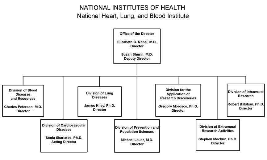 Org Chart and link to accessible version