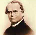 Gregor Mendel