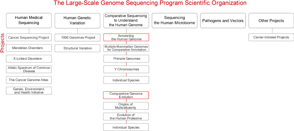 Diagram of The Large-Scale Genome Sequencing Program Scientific Organization