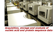 Aquisition, storage and analysis of nucleic acid and protein sequence data