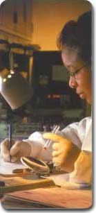 Image of a Lab Technician