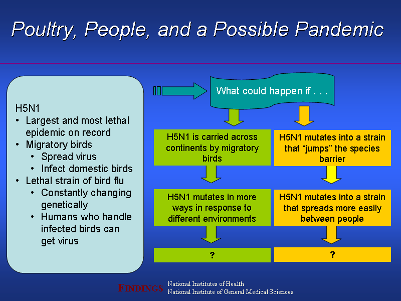 Image of Slide 9