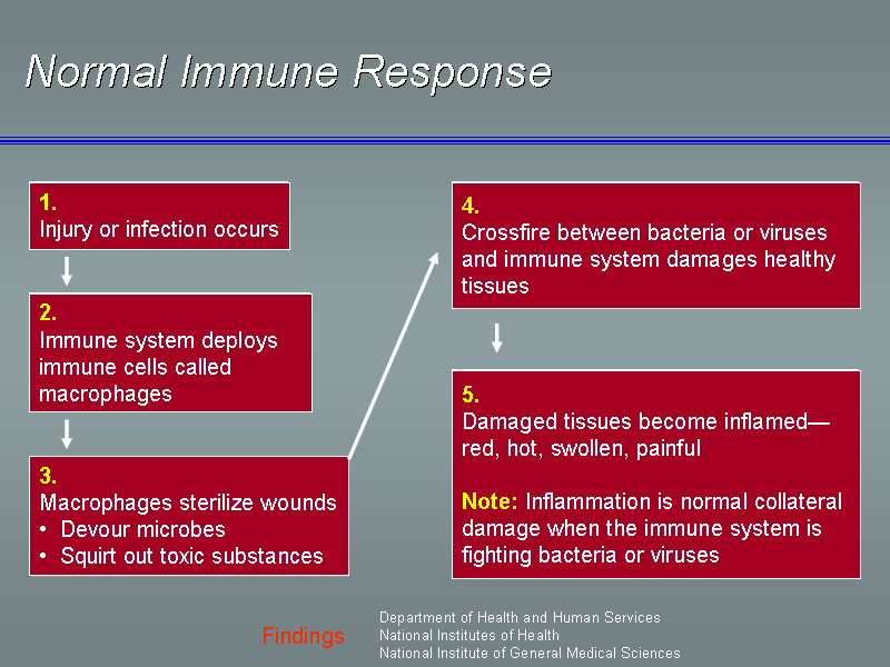 Image of Slide 4