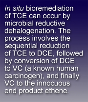 Text box stating: <EM>In situ</EM> bioremediation of TCE can occur by microbial reductive dehalogenation.  The process involves the sequential reduction of TCE to DCE, followed by conversion of DCE to VC (a known human carcinogen), and finally VC to the innocuous end product ethene.
