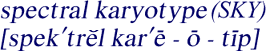 Pronounciation of 
spectral karyotype (SKY)