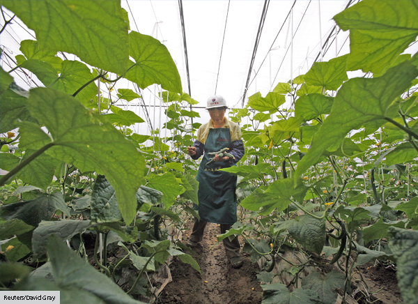 Recovering the Good Earth: China's Growing Organic Market