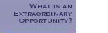 What is an Extraordinary Opportunity?