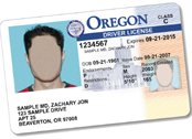 An image of an Oregon Driver License