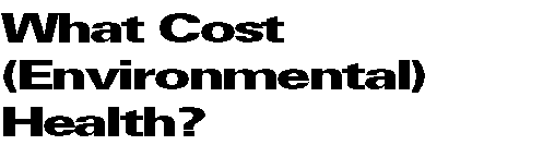 What Cost (Environmental) Health?
