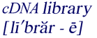 Pronounciation of 
cDNA library