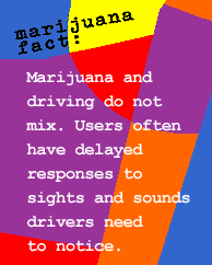 Marijuana fact: Marijuana and driving do not mix. Users often have delayed responses to sights and sounds drivers need to notice.
