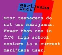 Marijuana fact: most teenagers do not use marijuana. Fewer than one in four high school seniors is a current marijuana user.