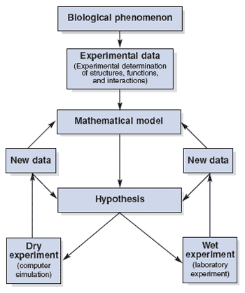 Systems Biology Approaches