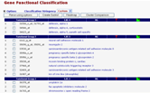 Gene Functional Classification