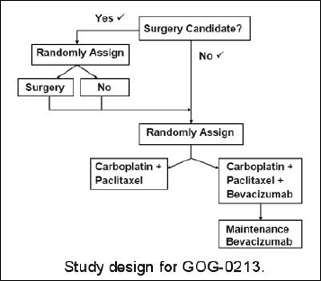 Flow Chart of Study Design for GOG-0213
