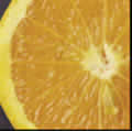 Photograph of an orange.