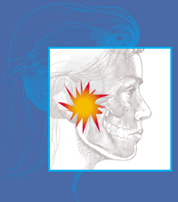 Profile showing the location of TMJ