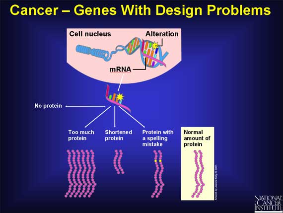 Cancer - Genes With Design Problems