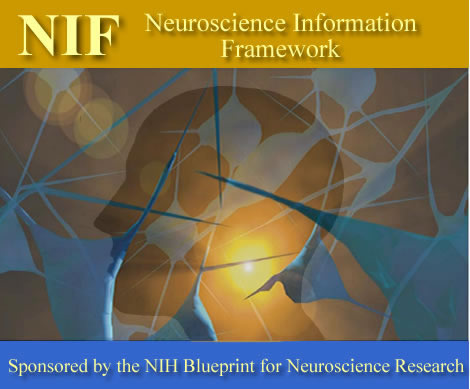 NIF logo