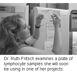 Dr. Ruth Fritsch examines a plate of lymphocyte samples she will soon be using in one of her projects.