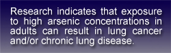 text box stating: Research indicates that exposure to high arsenic concentrations in adults can result in lung cancer and/or chronic lung disease.