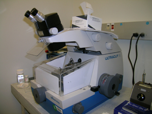 Reichert Ultracut-E Microtome (ultra-thin sections, 100-130 nm)