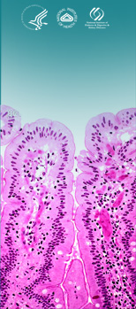 Local Influences on Health and Repair of Intestinal Epithelium - March 25-26, 2008