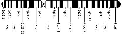 Ideogram of chromosome 6