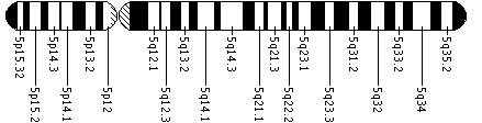 Ideogram of chromosome 5
