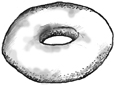 Drawing of a doughnut.