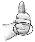 Drawing of a closed fist with the thumb up with a circle drawing around half of the fist to show what a serving size of 1/2 cup looks like.