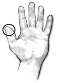 Drawing of a hand with the thumb circled.