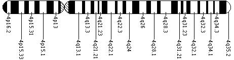Ideogram of chromosome 4