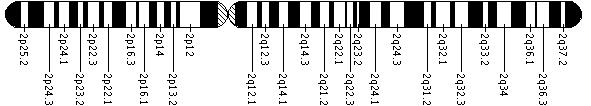 Ideogram of chromosome 2