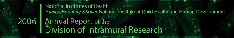 20## Annual Report of the Division of Intramural Research, NICHD