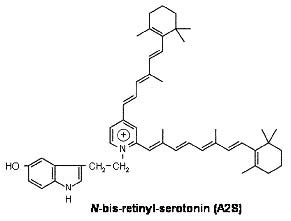 Figure 5.6 N-bis-retinyl-serotonin (A2S)