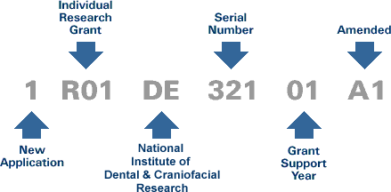 Illustration of the makeup of an application number.