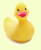 Rubber Ducky