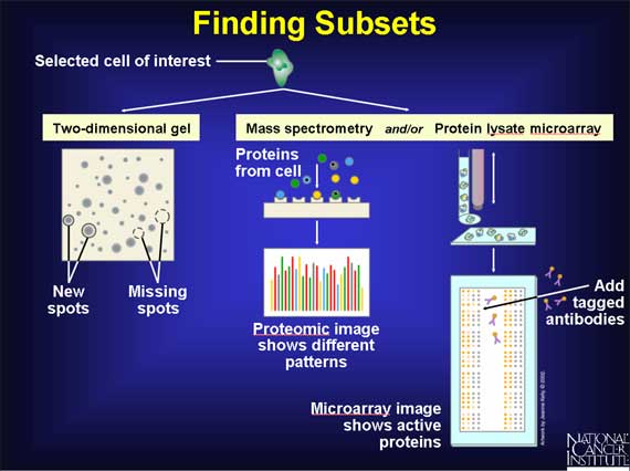 Finding Subsets