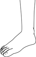 Drawing of a foot.