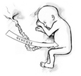 Drawing of a baby in the womb, attached to an umbilical cord, with an arrow labeled 