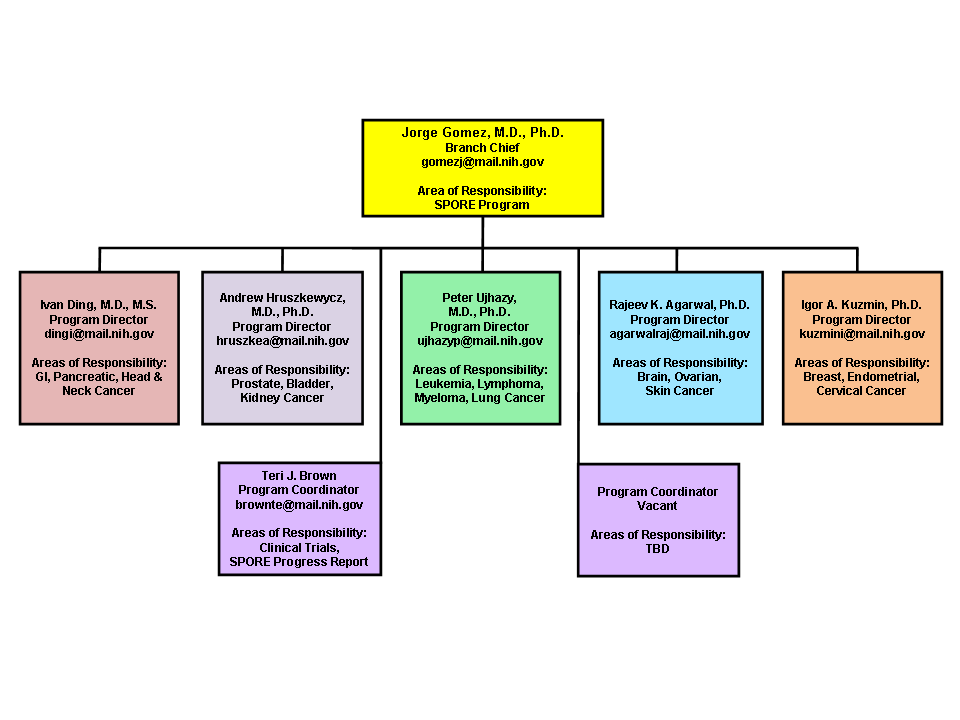 Interactive Organizational Chart showing structure of Organ Systems Branch