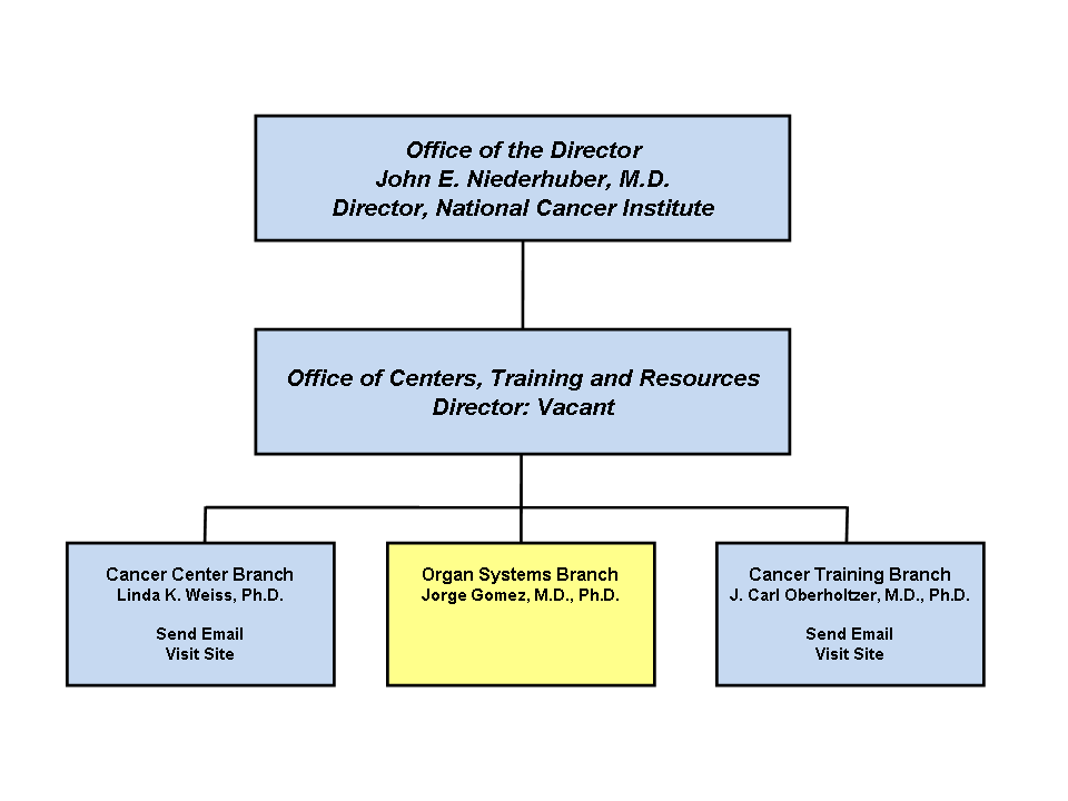 Organizational Chart of the Office of Centers, Training and Resources