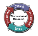 SPORES Logo - Translational Research, Clinical, Pre-Clinical, Basic, Pre-Clinical