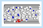 Simulation of Platelet Aggregation in the Presence of Red Blood Cells