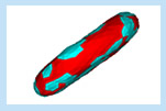Simulation of Red Blood Cell Tank-Treading Motion in Shear Flow