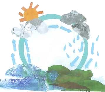 a graphic presenatation of the hydrological cycle