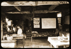 Dr. R. R. Parker and his wife working on Rocky Mountain spotted fever, 1916