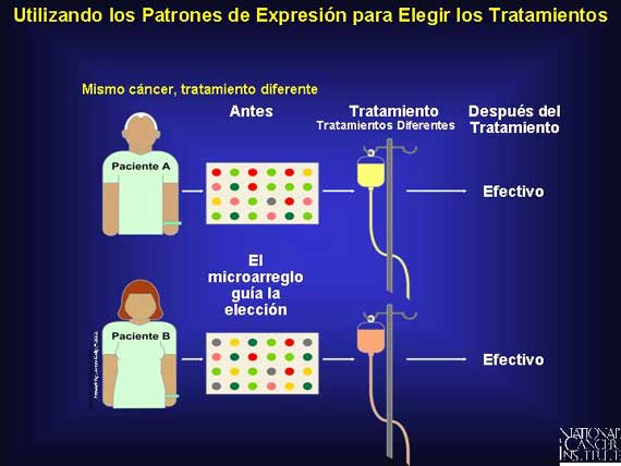 Utilizando los Patrones de Expresión para Elegir los Tratamientos